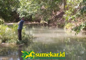 Praktik Renang di Sungai Nangka Berujung Maut, Siswa SMAN 1 Ambunten Meninggal
