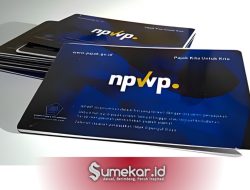 Coretax DJP: Solusi Cepat dan Praktis untuk Pendaftaran NPWP Online