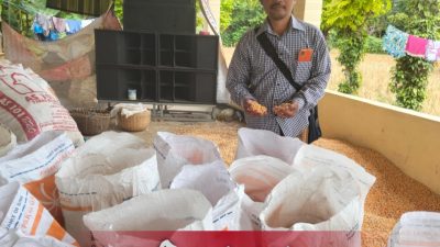Bupati Sumenep Dukung Ketahanan Pangan, Petani Jagung Kini Punya Akses Pasar Luas