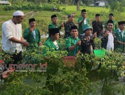 Jihad Tanpa Senjata: GP Ansor Jatim Dorong Kedaulatan Pangan Lewat “Ansor Atanèh”